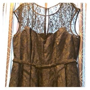 Beautiful Navy and lace dress.